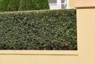 Ageryhard-landscaping-surfaces-8.jpg; ?>